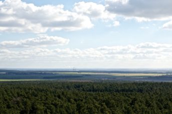 Auf dem Heidebergturm
