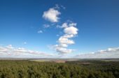 Auf dem Heidebergturm